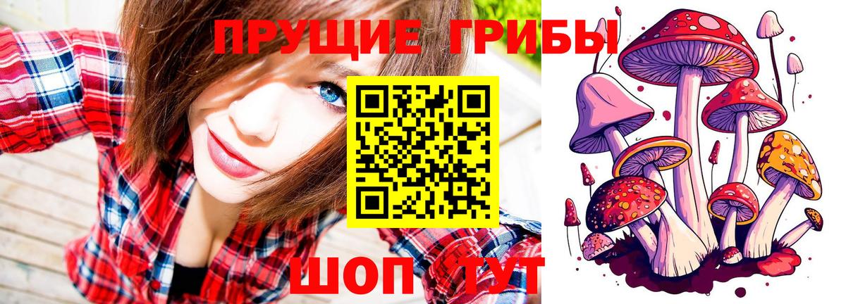 Галлюциногенные грибы Cubensis  Вход с VPN  Заводоуковск  Псилоцибиновые грибы Psilocybine cubensis 