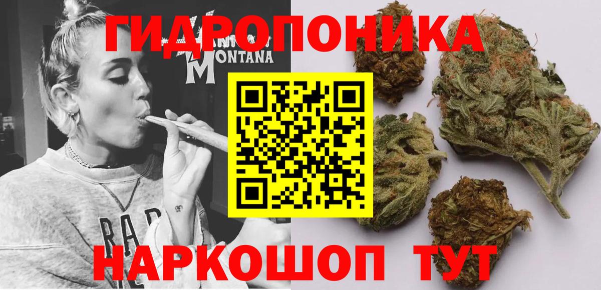 Бошки Шишки план  Конопля White Widow  Конопля VHQ  Заводоуковск  Вход с VPN 